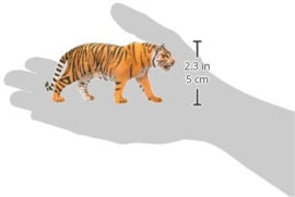 Bengaalse tijger mannetje