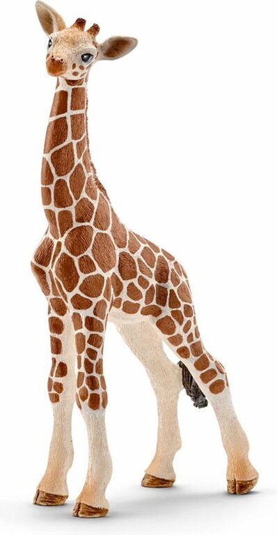 Giraffe baby