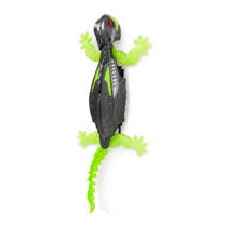 Hexbots Gekko muurkruiper