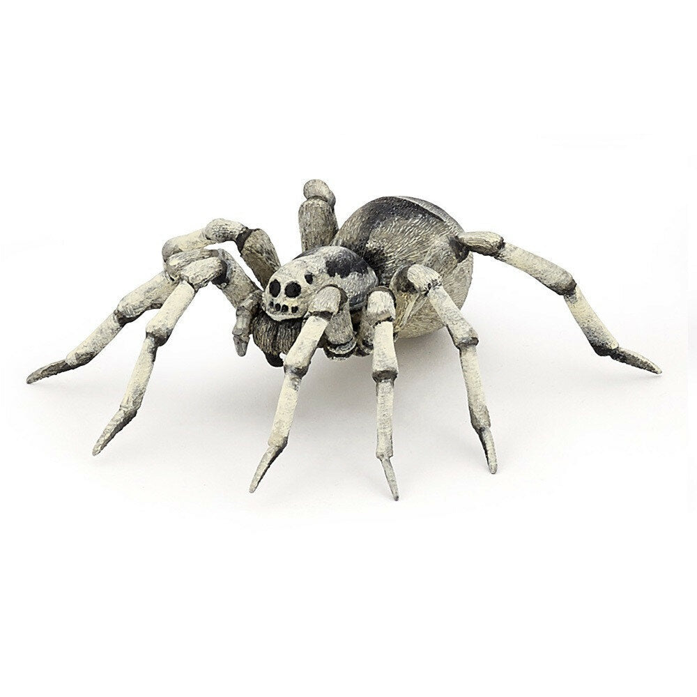 Tarantula