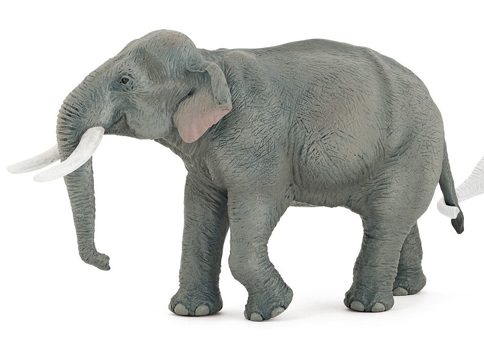 Aziatische olifant