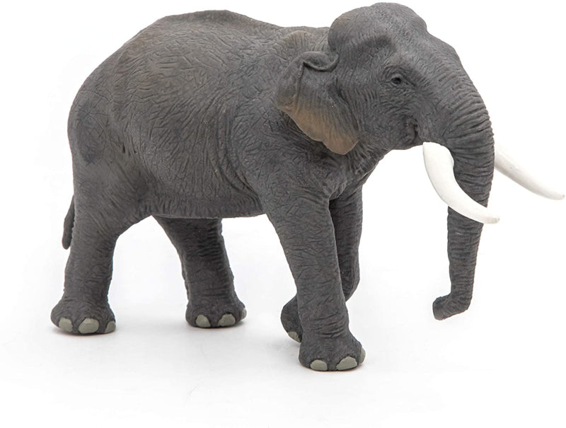 Aziatische olifant