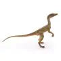 Compsochnathus