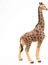 Giraffe mannelijk