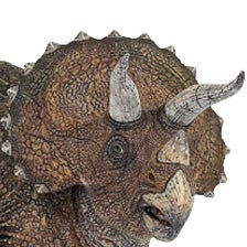 Triceratops