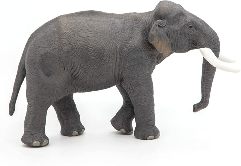 Aziatische olifant