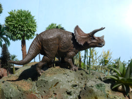 Triceratops