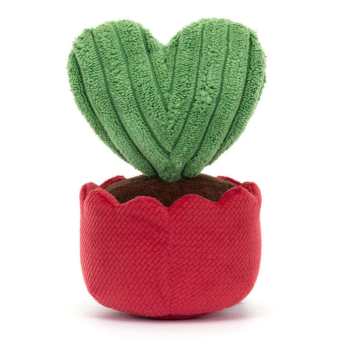 Kerrii Knuffelcactus