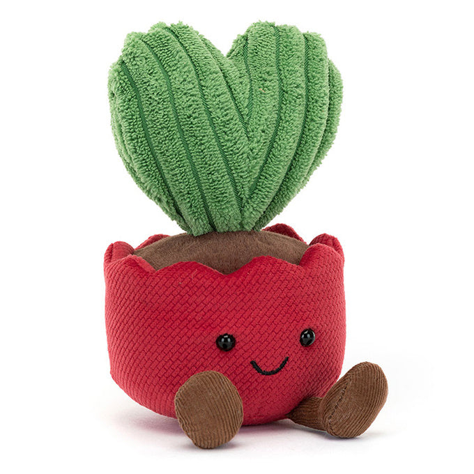 Kerrii Knuffelcactus