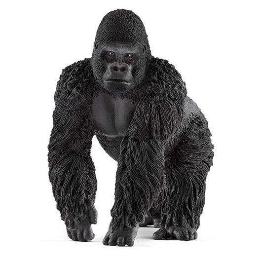 Gorilla mannetje