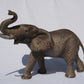 Afrikaanse olifant mannetje