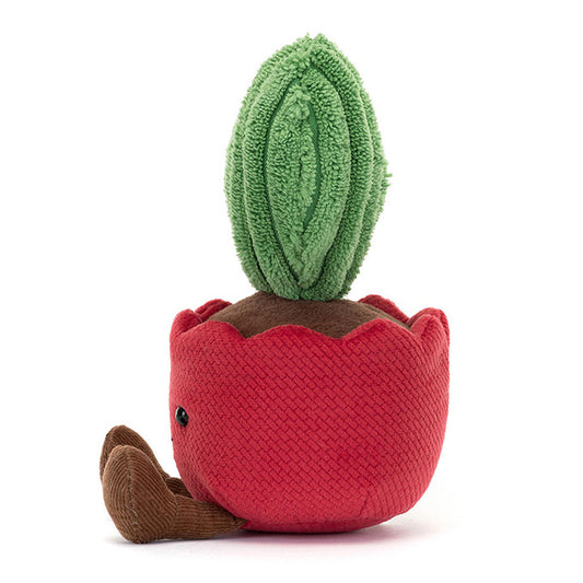 Kerrii Knuffelcactus
