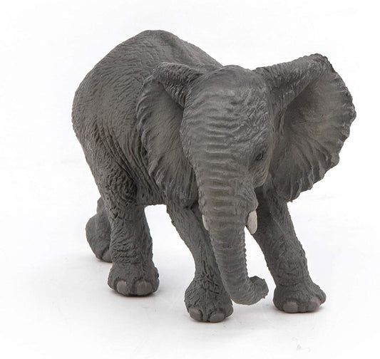 Jonge Afrikaanse olifant