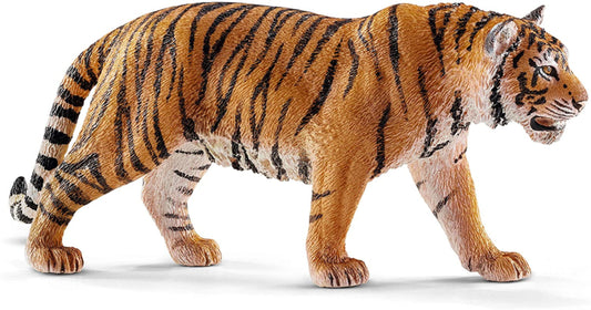 Bengaalse tijger mannetje