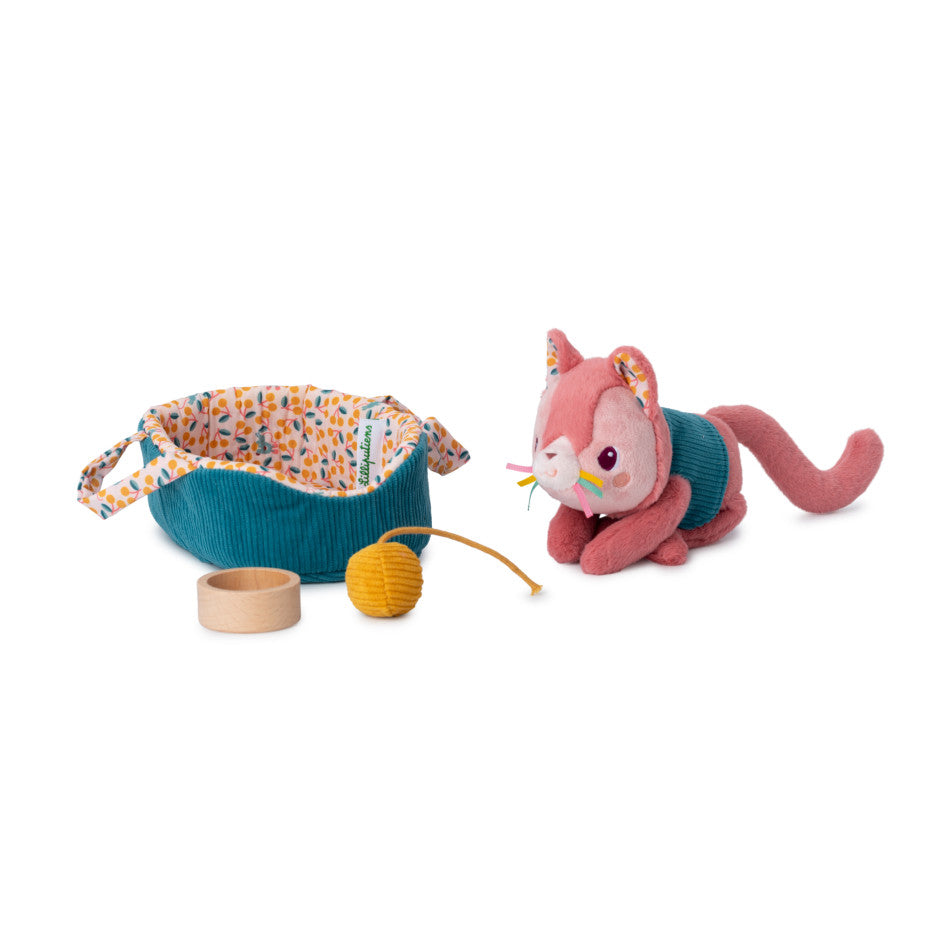 Jeanne de kat en haar mandje