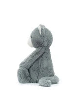 Bashful kitten original