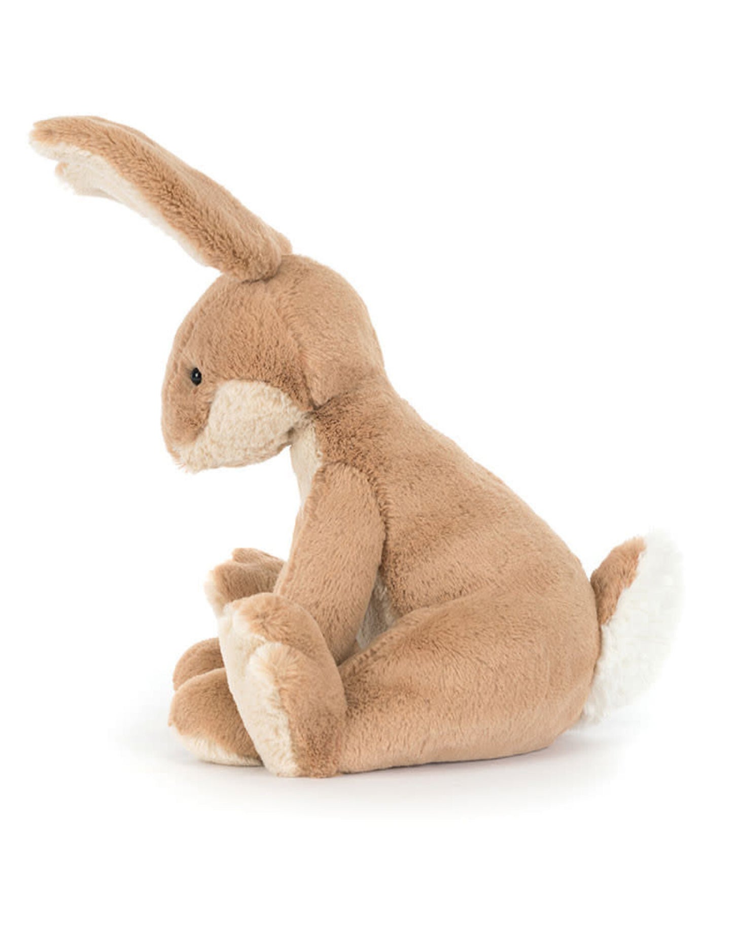Knuffelhaas Horticus
