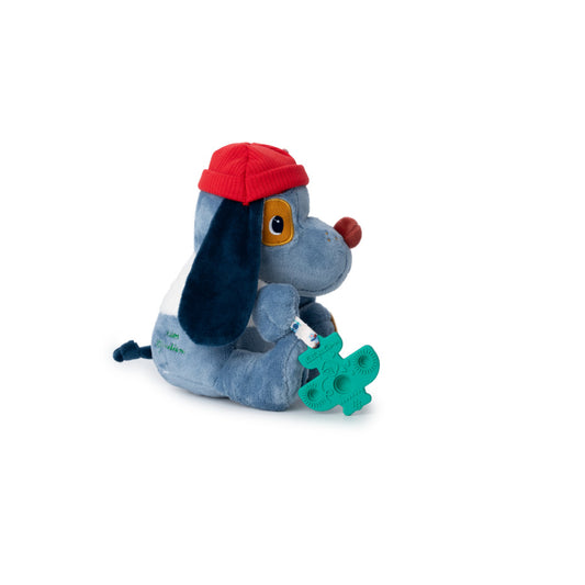 Jules de multi activiteiten hond