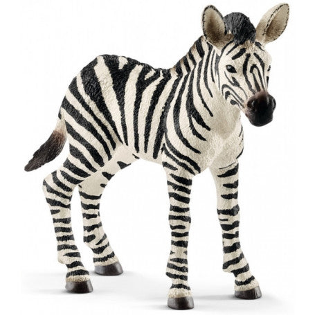 Zebra jong