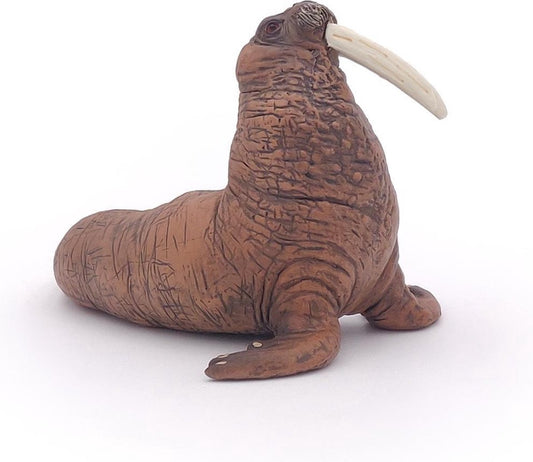 Walrus