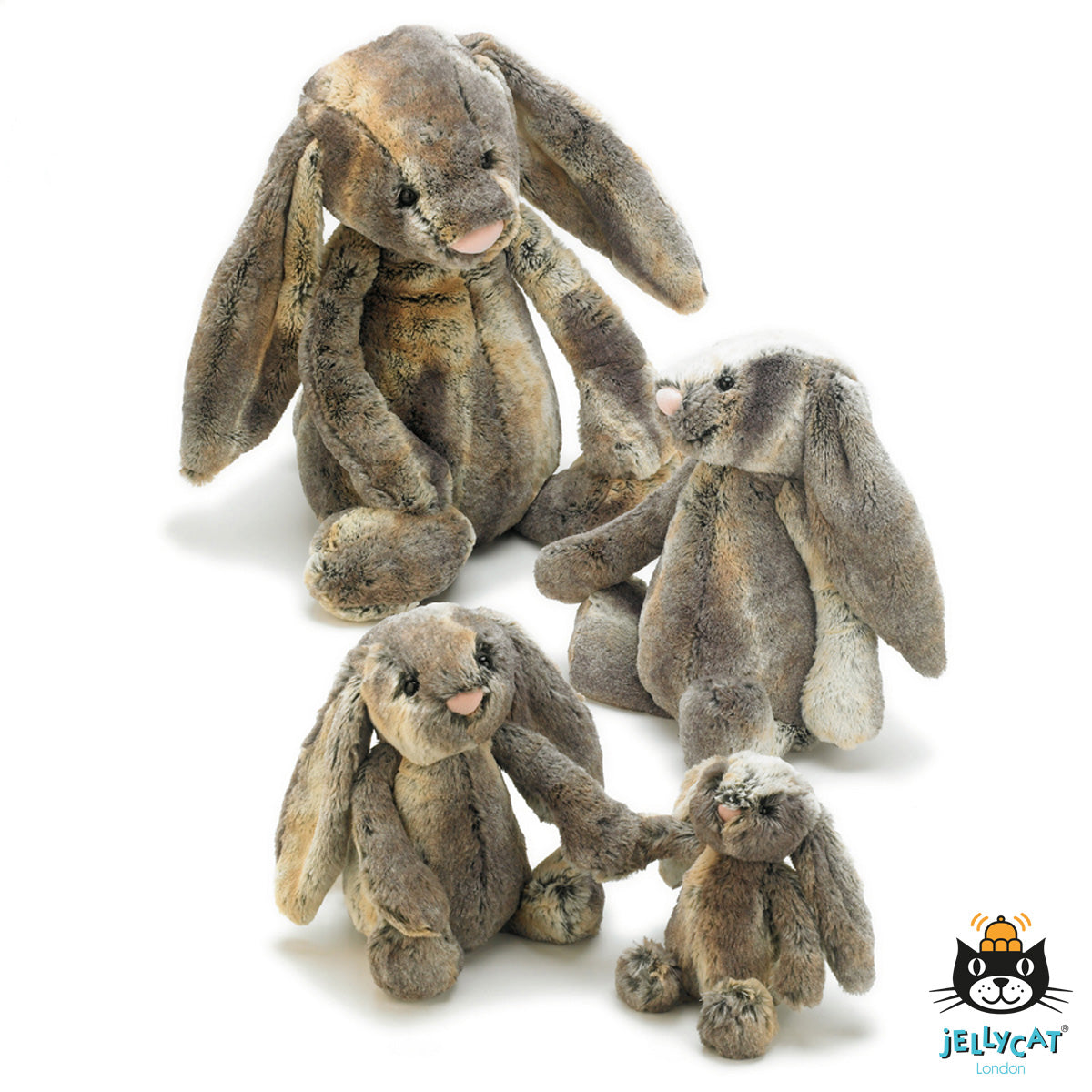 Konijn Bashful klein cottontail