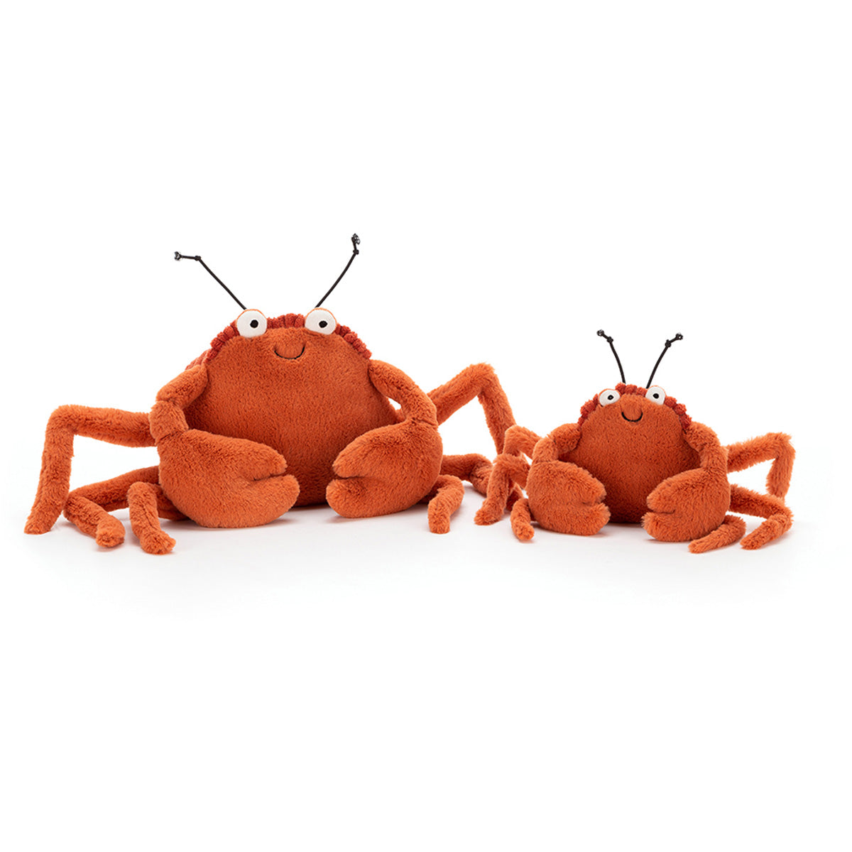Krab Crispin small