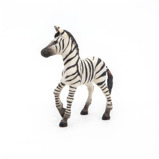 Zebra veulen