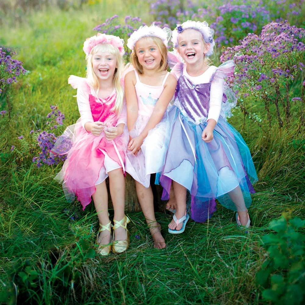 Jurk fee rose 5 - 6 jaar