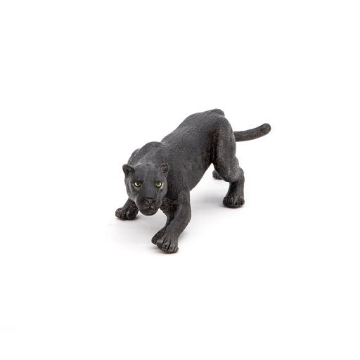 Zwarte panter