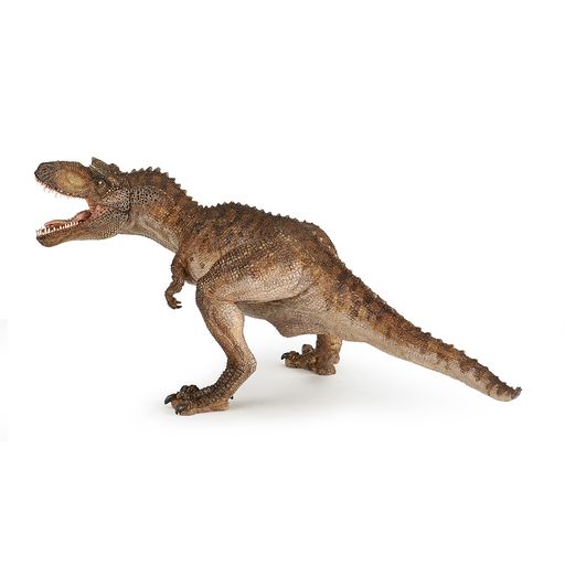 Gorgosaurus