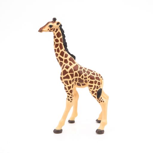 Giraffe kalf