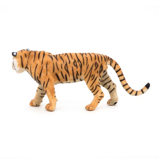 Tijger