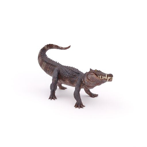Kaprosuchus