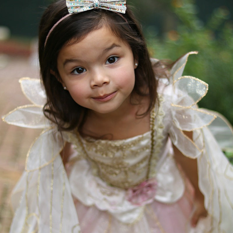 Jurk prinses roze / zilver 4-6 jaar
