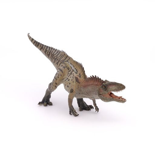 Acrocantosaurus