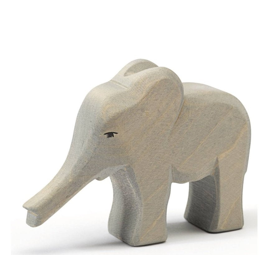 Olifant klein slurf gestrekt