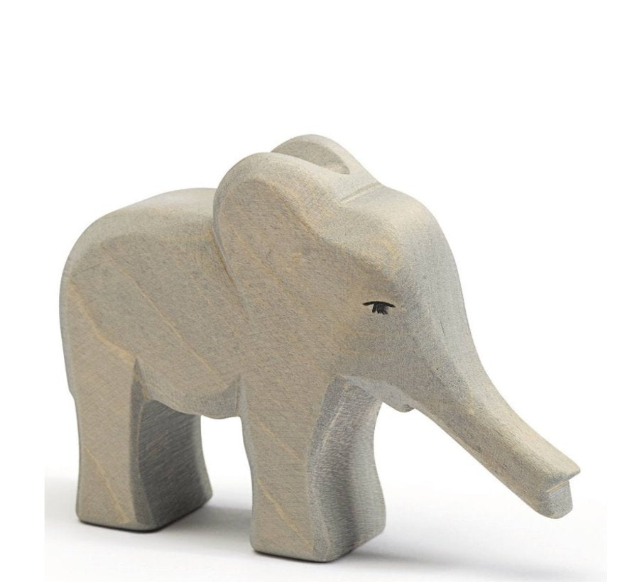 Olifant klein slurf gestrekt