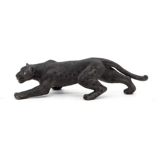 Zwarte panter