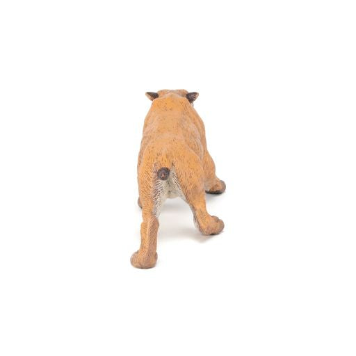 Sabeltandtijger