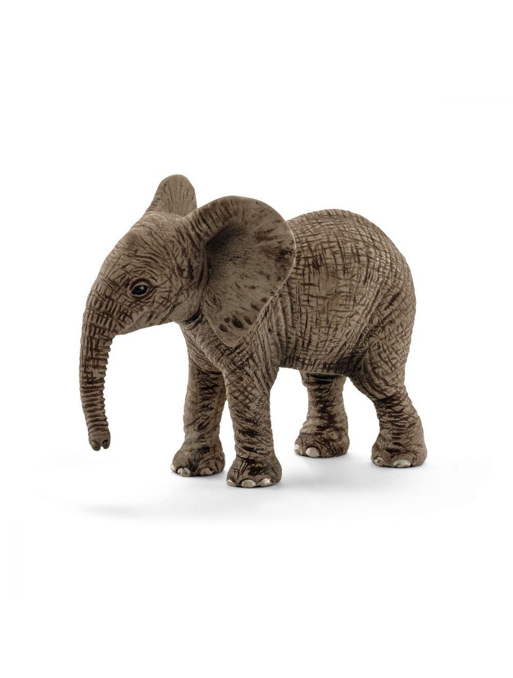 Afrikaanse olifant kalf