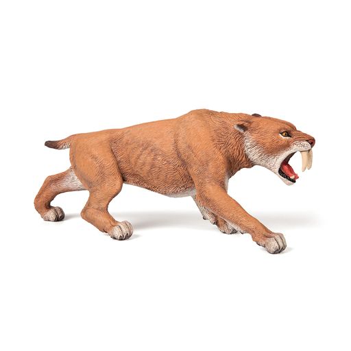 Sabeltandtijger