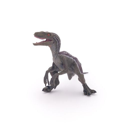 Velociraptor