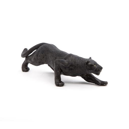 Zwarte panter