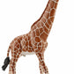 Giraffe mannetje