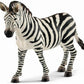 Zebra merrie