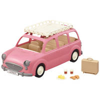 Familie picknick auto