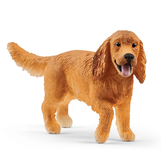 Engelse cockerspaniel