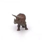 Triceratops