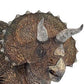 Triceratops