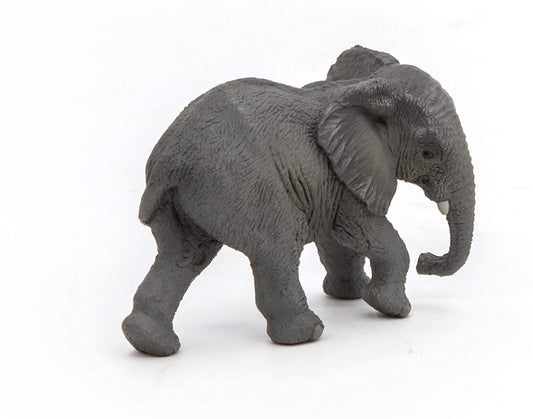 Jonge Afrikaanse olifant